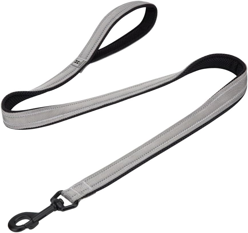 Detalle de Small Combination Dog Leash for Puppies – 110cm, Reflective padded nylon lead (Gray, S)