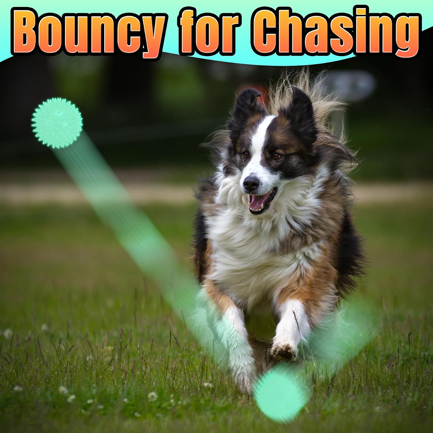Thumbnail 6 de LECHONG Glow in the Dark Dog Balls 4-Pack