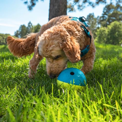 Thumbnail 8 de Nina Ottosson Interactive Dog Toys - Dog Puzzle Toys for Beginners, Level 1 (Outward Hound)