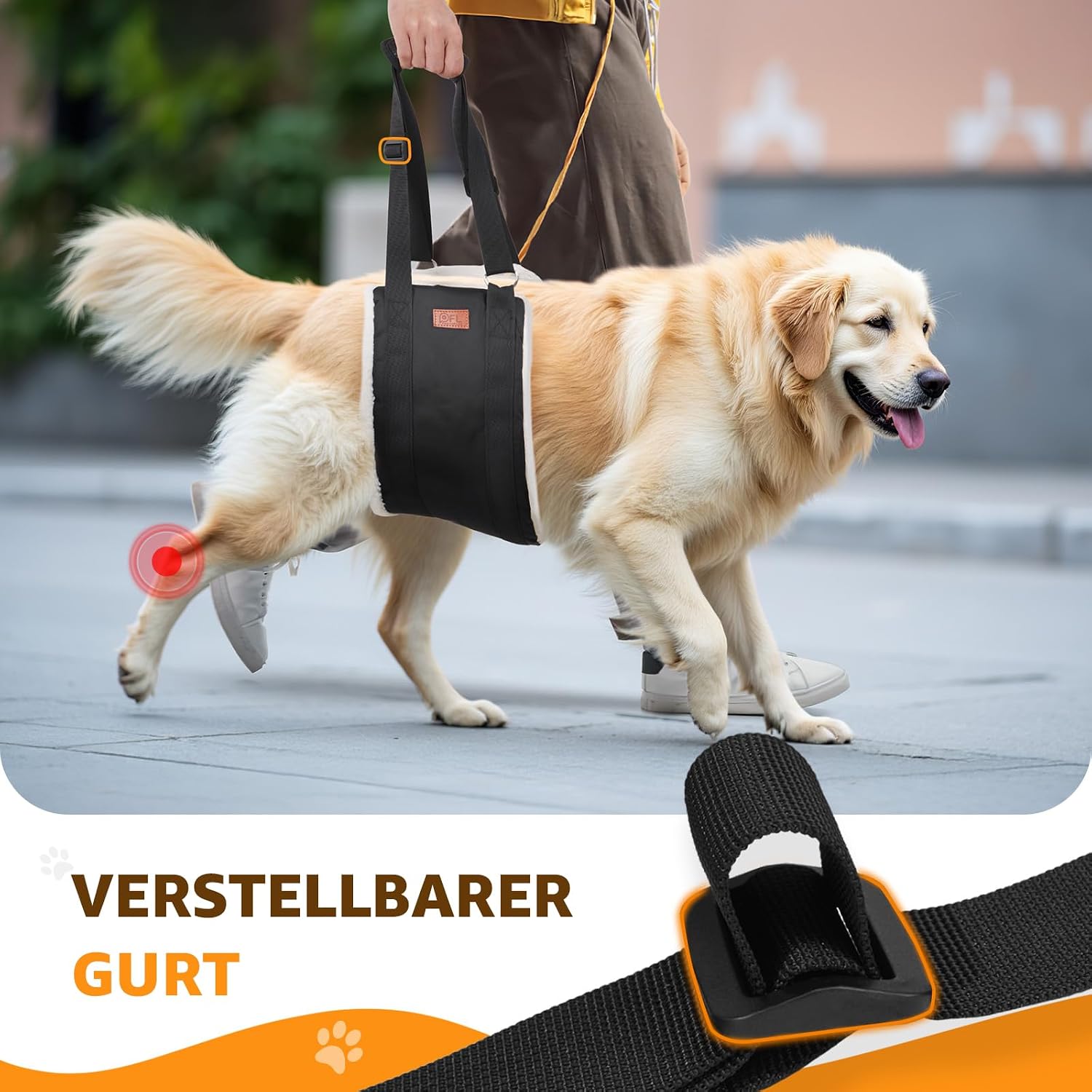 Detalle 2 de Verstellbarer Hunde Tragehilfe – Tragbarer Tragegurt zur Rehabilitation für mittlere und große Hunde