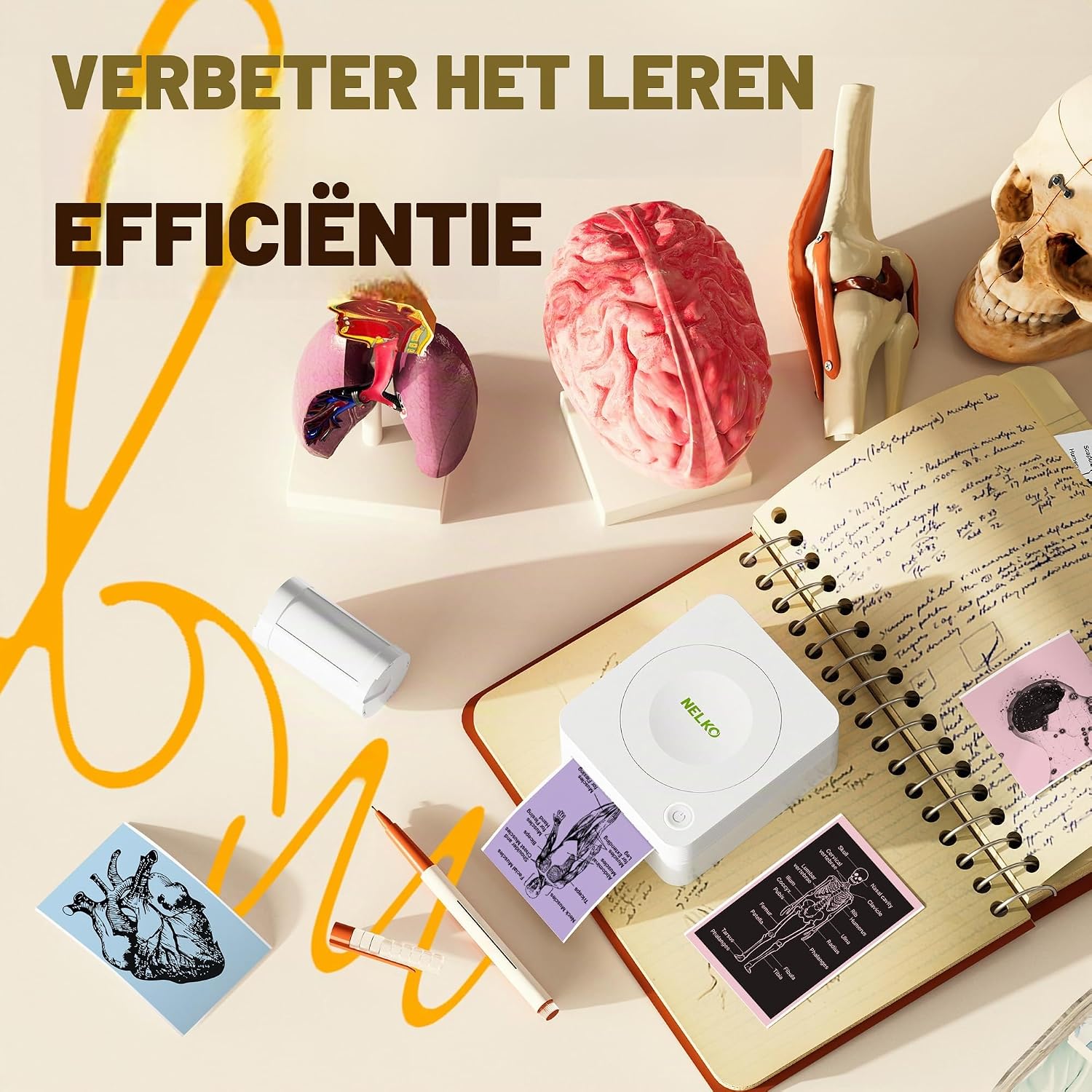 Detalle de Nelko thermische printerstickers voor PM230, 54 mm x 3,5 m, 3 rollen