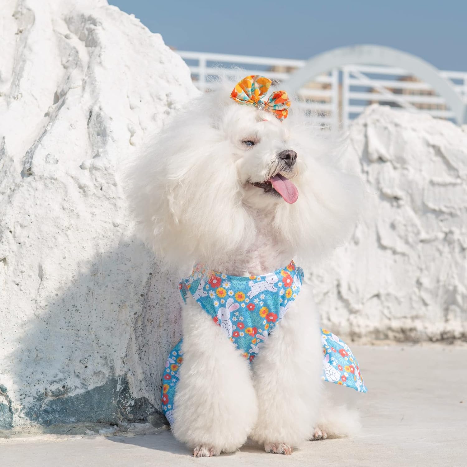Detalle 1 de CuteBone Dog Dress, XX-Small