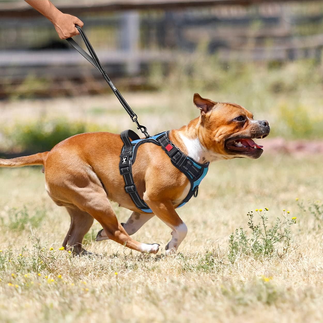 Thumbnail 3 de PoyPet Keine Pull Hundegeschirr mit Front-D-Ring, reflektierender Pet Weste und Griff – für Training, Spaziergang & Lauf (Blau)