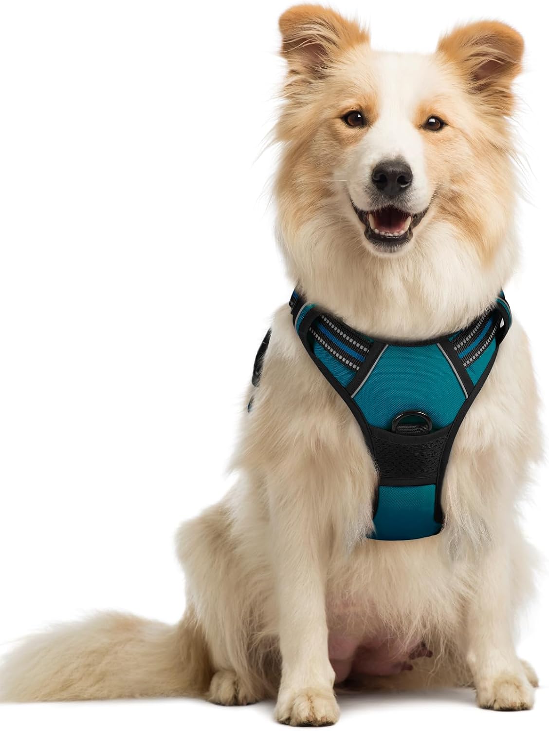 Detalle de rabbitgoo Dog Harness Medium No Pull with 2 Leash Clips, Adjustable Soft Padded Vest, Reflective, Dark Green (M)