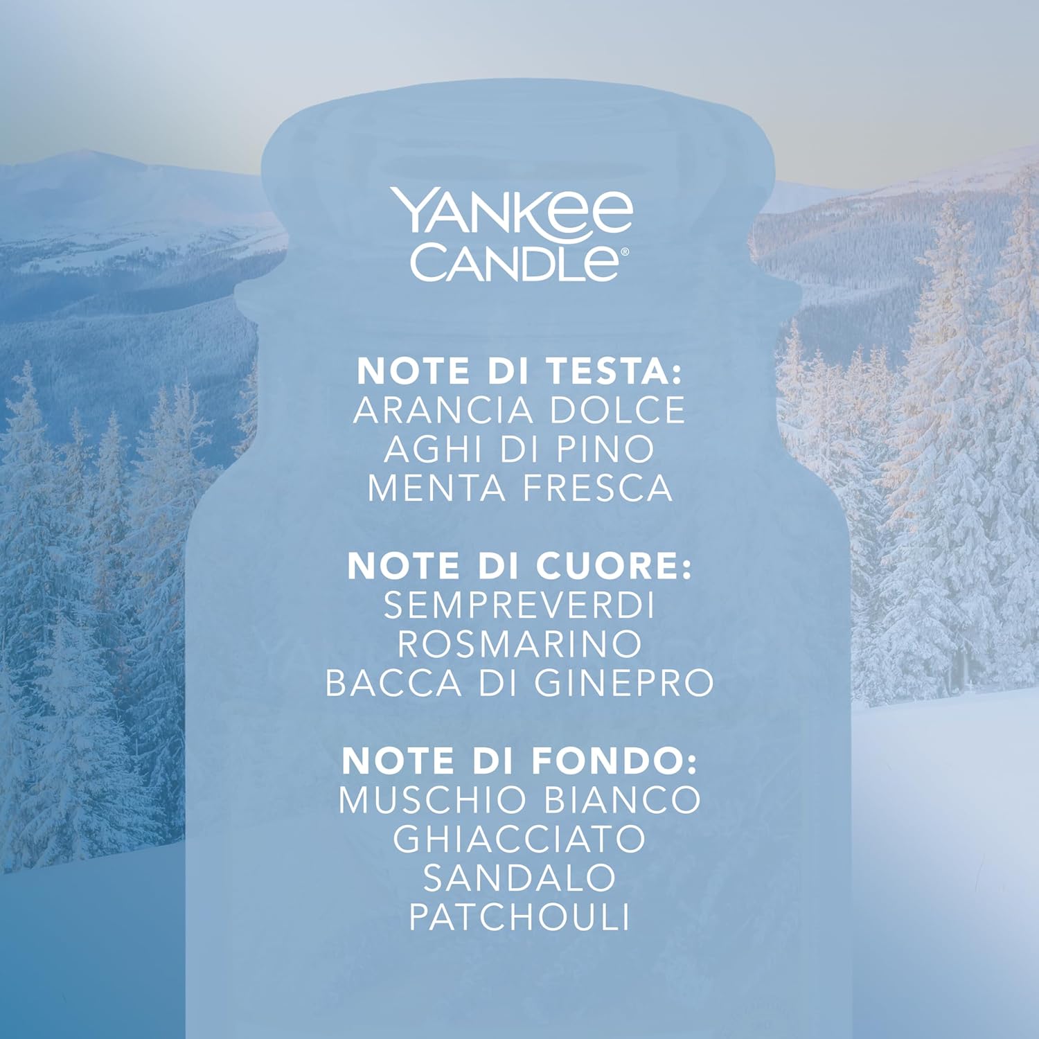 Detalle de Yankee Candle Candela profumata Neve Scintillante in giara grande