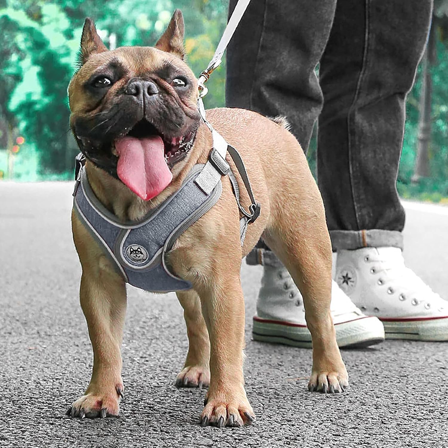 Thumbnail 2 de Wocharm Dogs Breathable Harness with Leash (Adjustable) – Size L, Grey