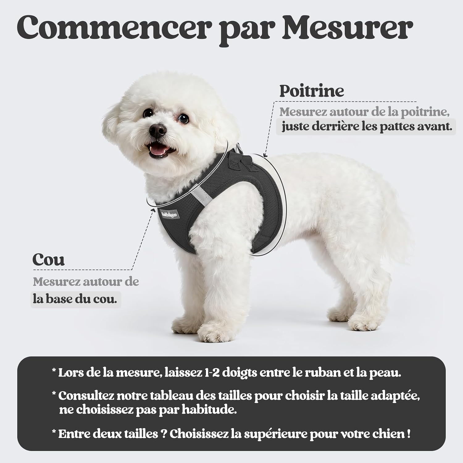 Detalle de Rabbitgoo Harnais Chien Petite Taille avec Laisse Réfléchissante – Harnais chiot en maille souple et laisse de 156 cm