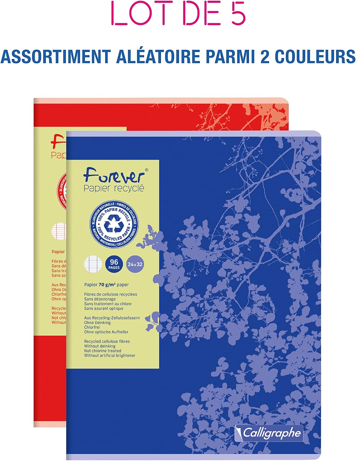 Detalle de Calligraphe 17493AMZC – Lot de 5 Cahiers Forever 24x32 cm, 96 pages, papier recyclé