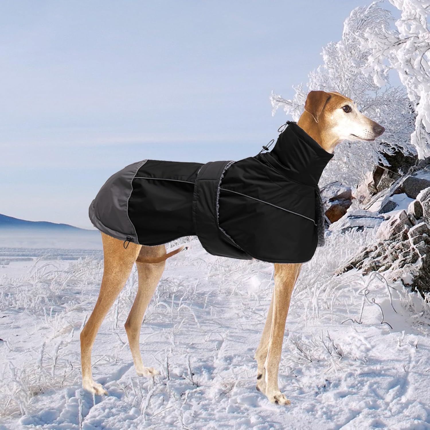 Thumbnail 6 de Morezi Greyhound Lurcher Winter Coat (Water Resistant Whippet Jacket) with Padded Fleece & Reflective Safety Bands
