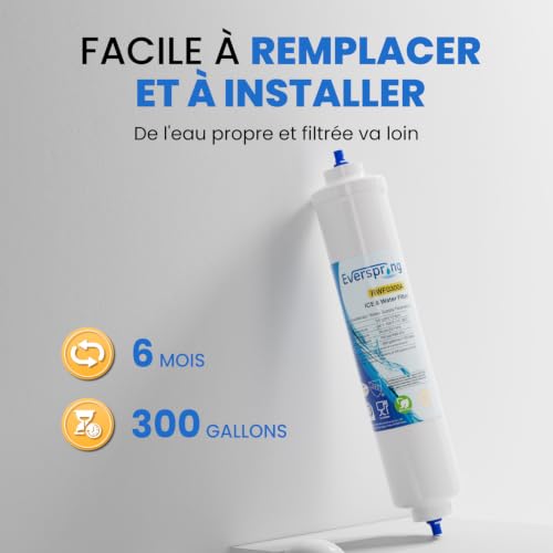 Detalle de Remplacement de filtre à eau EverSpring pour Samsung et autres modèles – Pack de 2