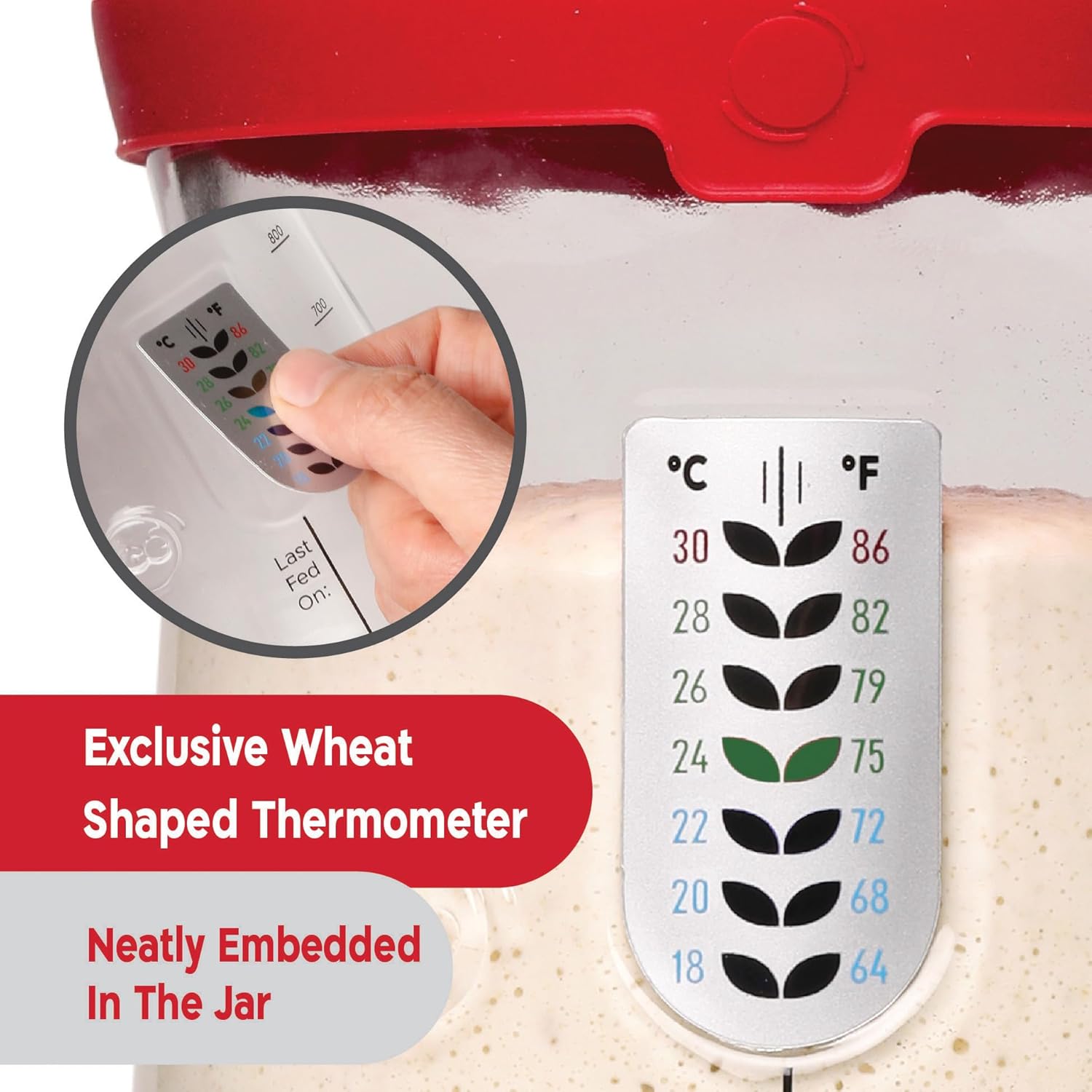 Thumbnail 4 de KNEADACE Pro KA06 34 oz Starter Kit
