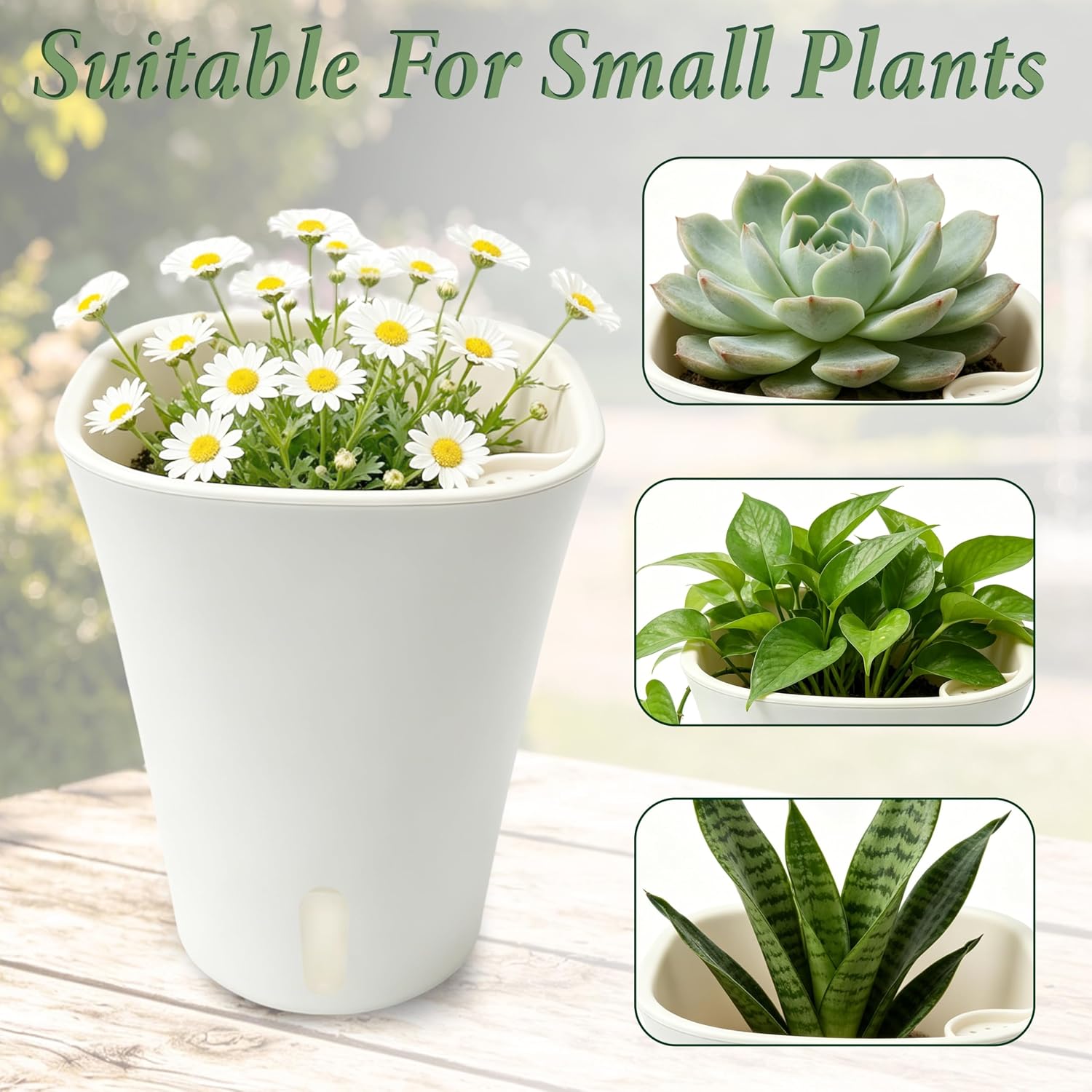 Detalle 1 de SYITCUN self watering pots, 5-inch indoor planters with water-level windows