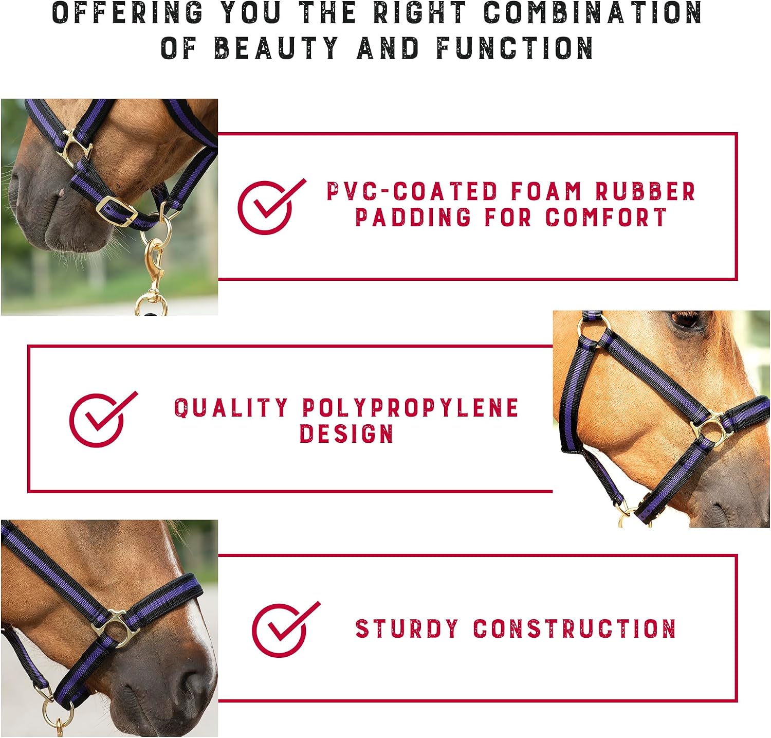 Detalle 1 de Weaver Leather Equine Breakaway – zrywalny kantar dla konia, średni, fioletowy