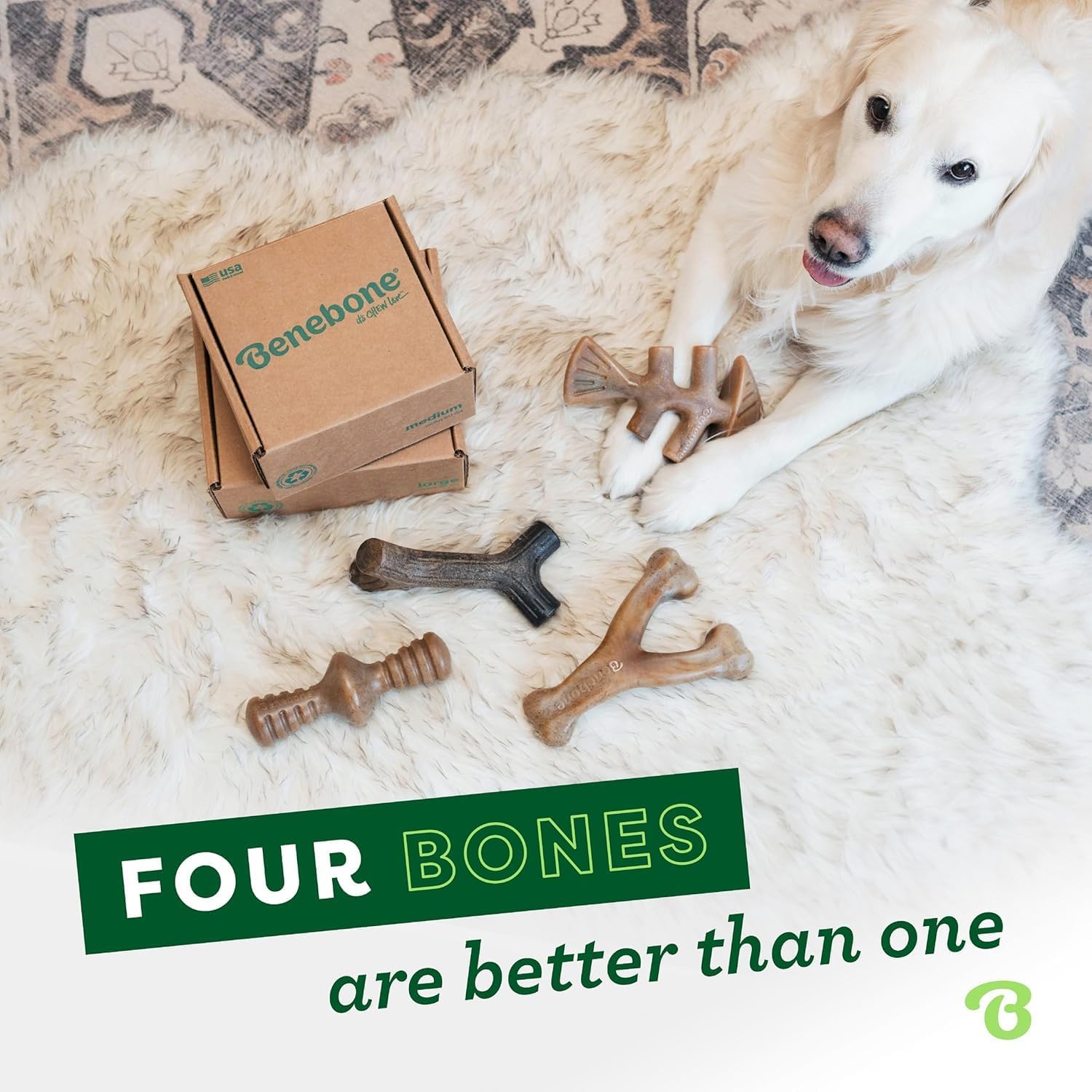 Detalle de Benebone Boîte de Jouets à mâcher Durable pour Chien – Wishbone, Fishbone, bâton et zaggler (Taille M) Lot de 4