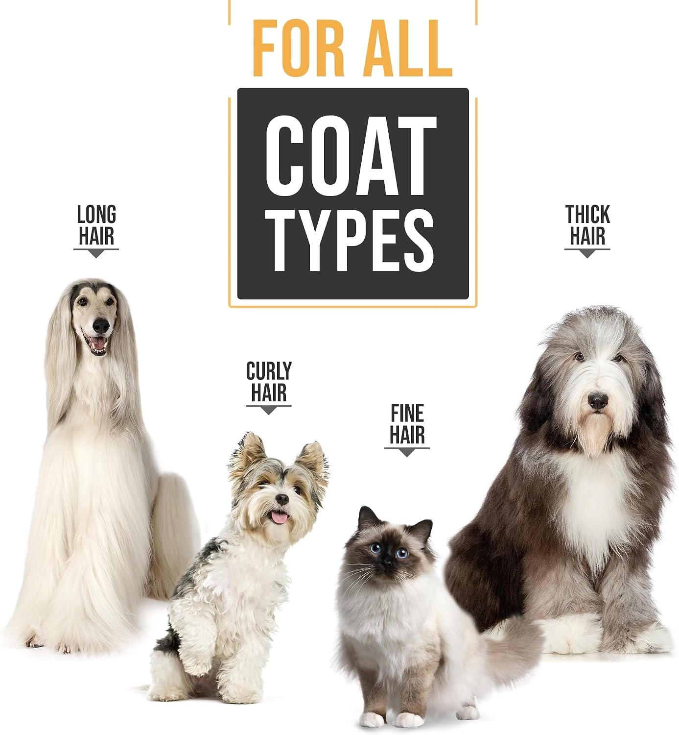 Thumbnail 6 de PetKing Premium Dog Clippers: A Practical Grooming Kit for Home & Pro Use