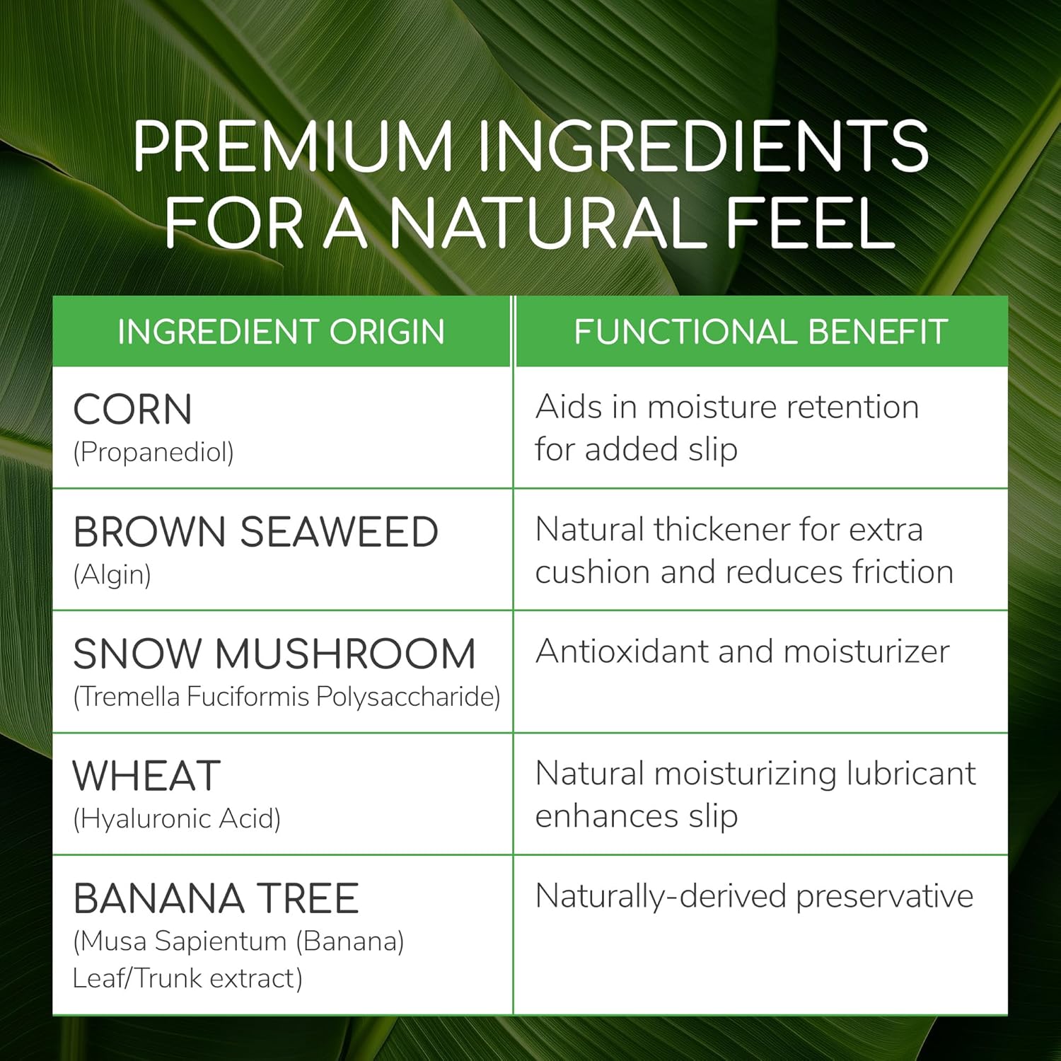 Thumbnail 2 de Astroglide Pure & Simple 5 oz personal lubricant