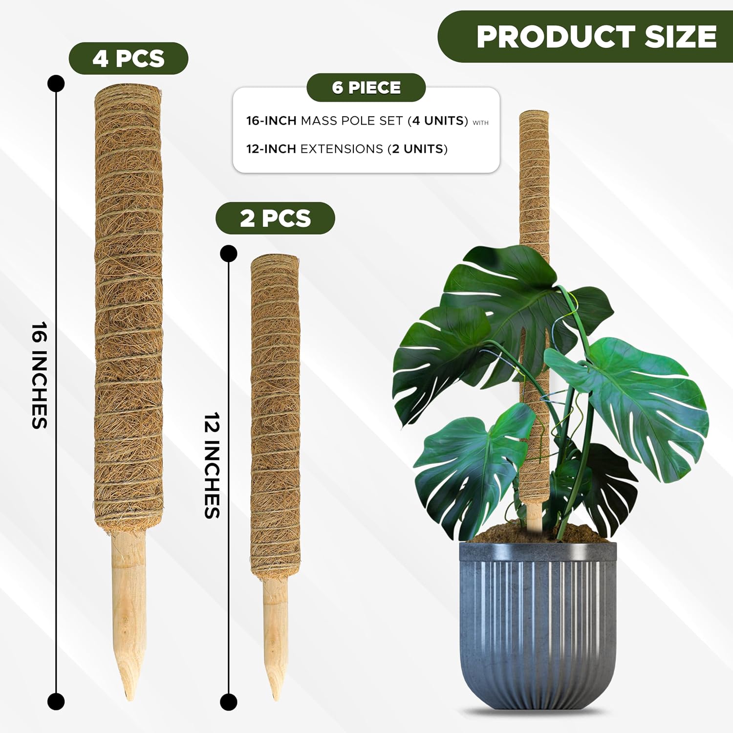 Detalle de EcoNour EcoMP Coir Moss Pole Set, Stackable Plant Supports