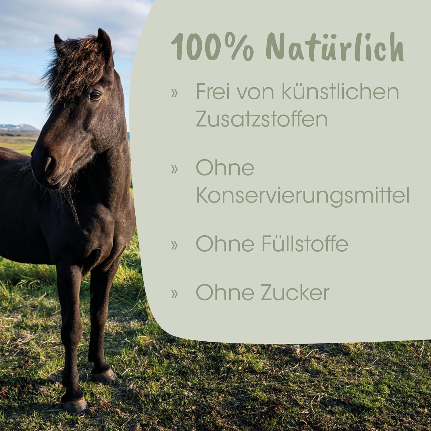 Thumbnail 5 de EquiGreen Mineralergänzungsfuttermittel Pferde 1 kg