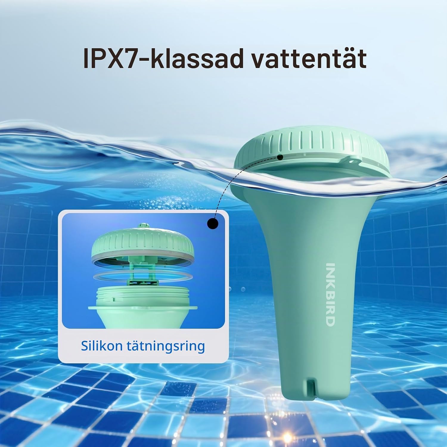 Detalle de Inkbird IBS-P01R trådlös pooltermometer med inomhusdisplay och max/min