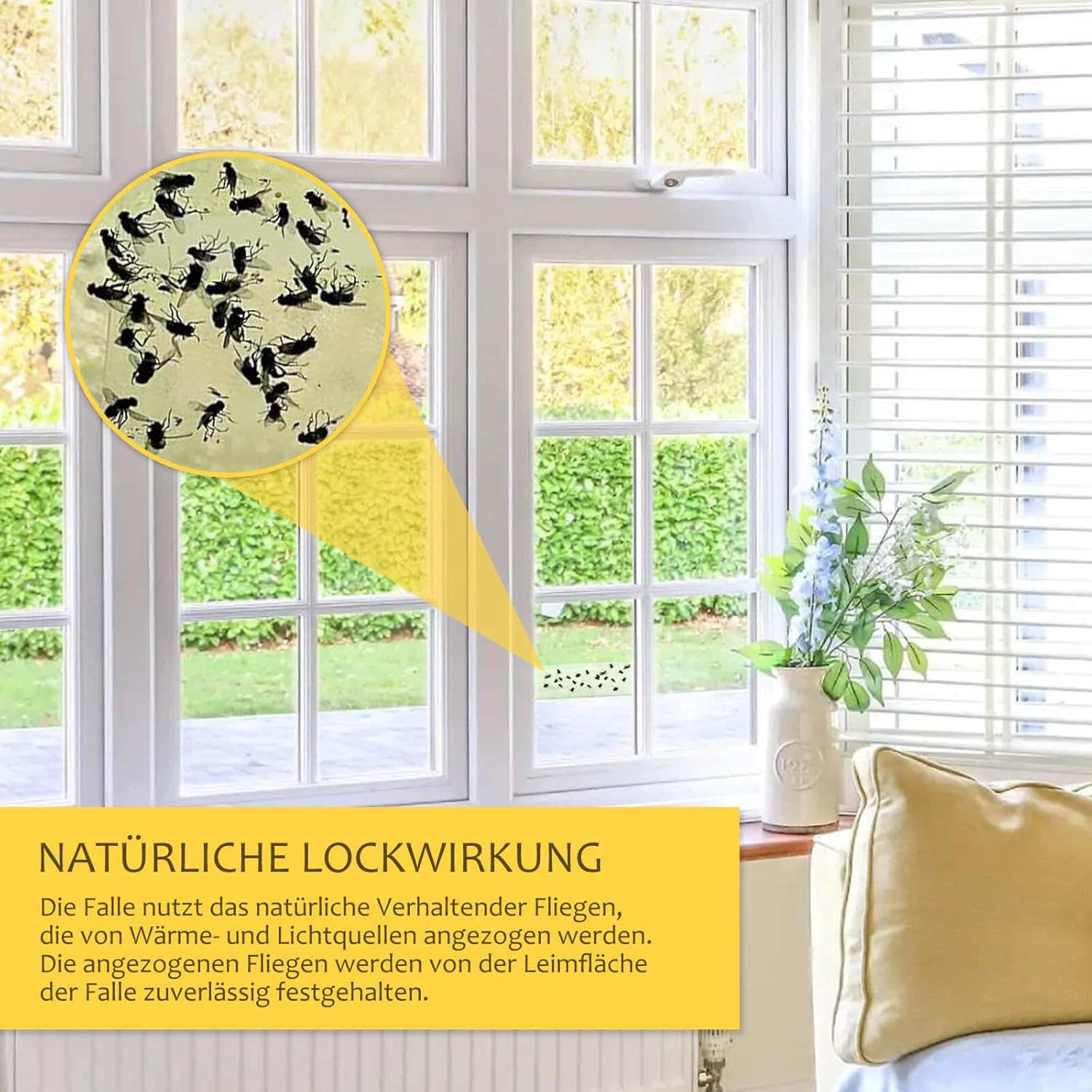 Thumbnail 1 de Blooven Fenster Fliegenfalle – 40 Stück, giftfrei, transparent