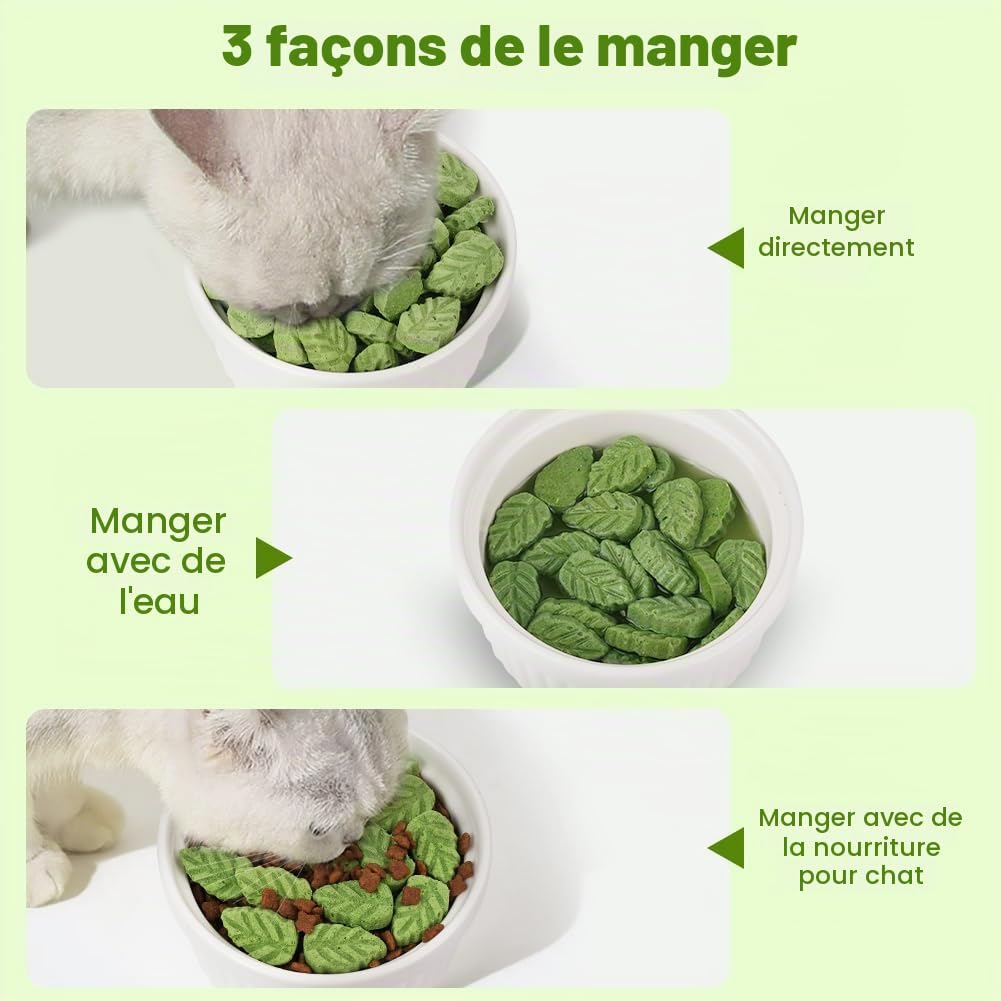 Detalle de OSDUE gevriesdroogde kattensnack met kip en kattenkruid in blaadjesvorm