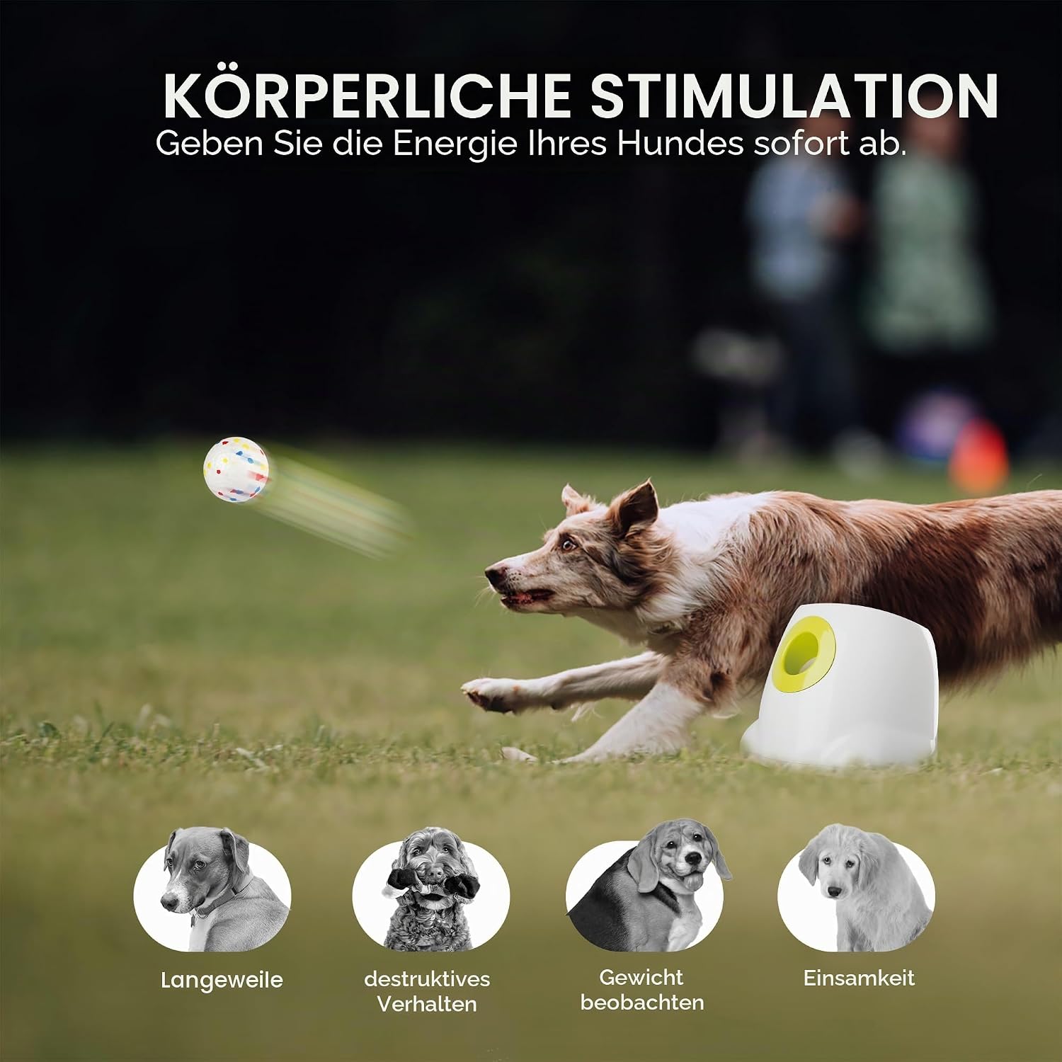 Detalle de ALL FOR PAWS automatischer Hundeballwerfer mit wiederaufladbarem Akku und 6 E-TPU-Bällen für große Hunde