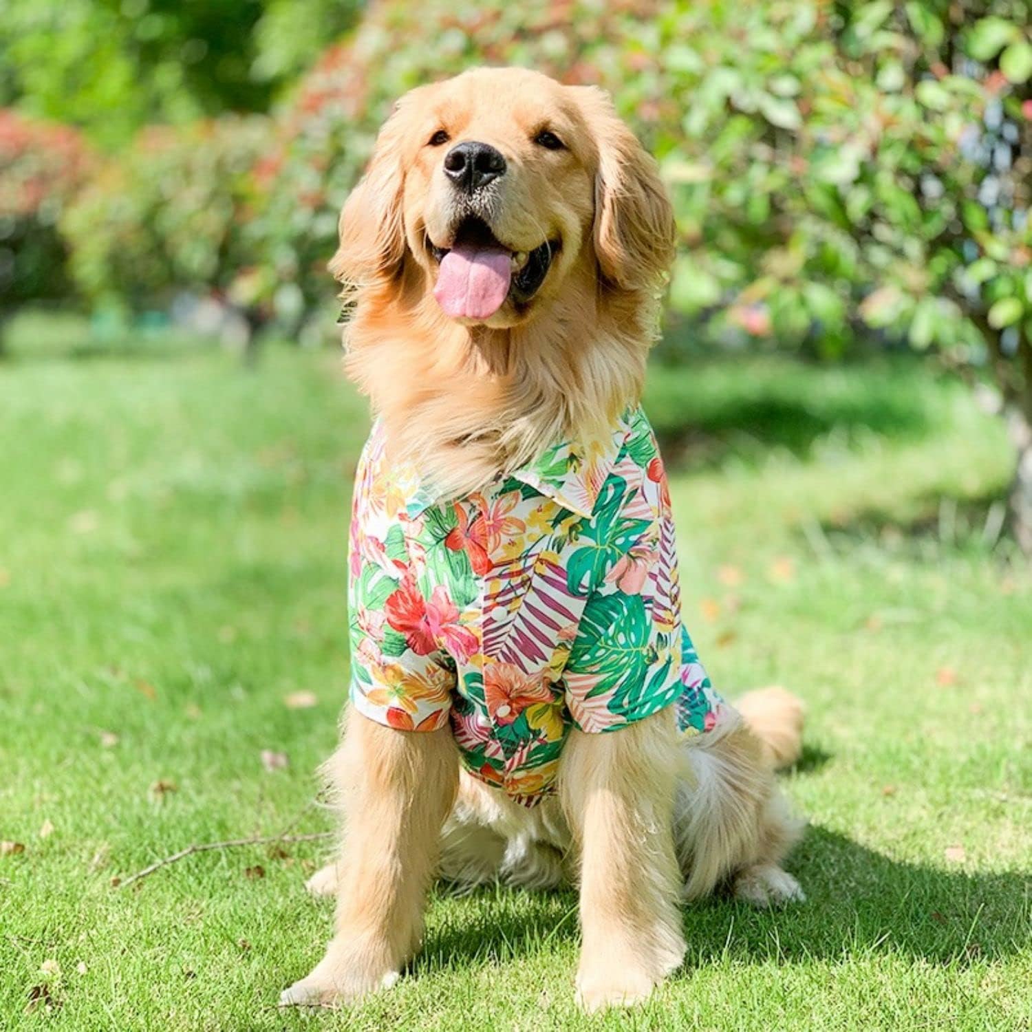 Thumbnail 2 de Dog Hawaiian Shirt for Medium to Large Dogs (8XL, Red) – Summer Breathable Beach T-Shirt