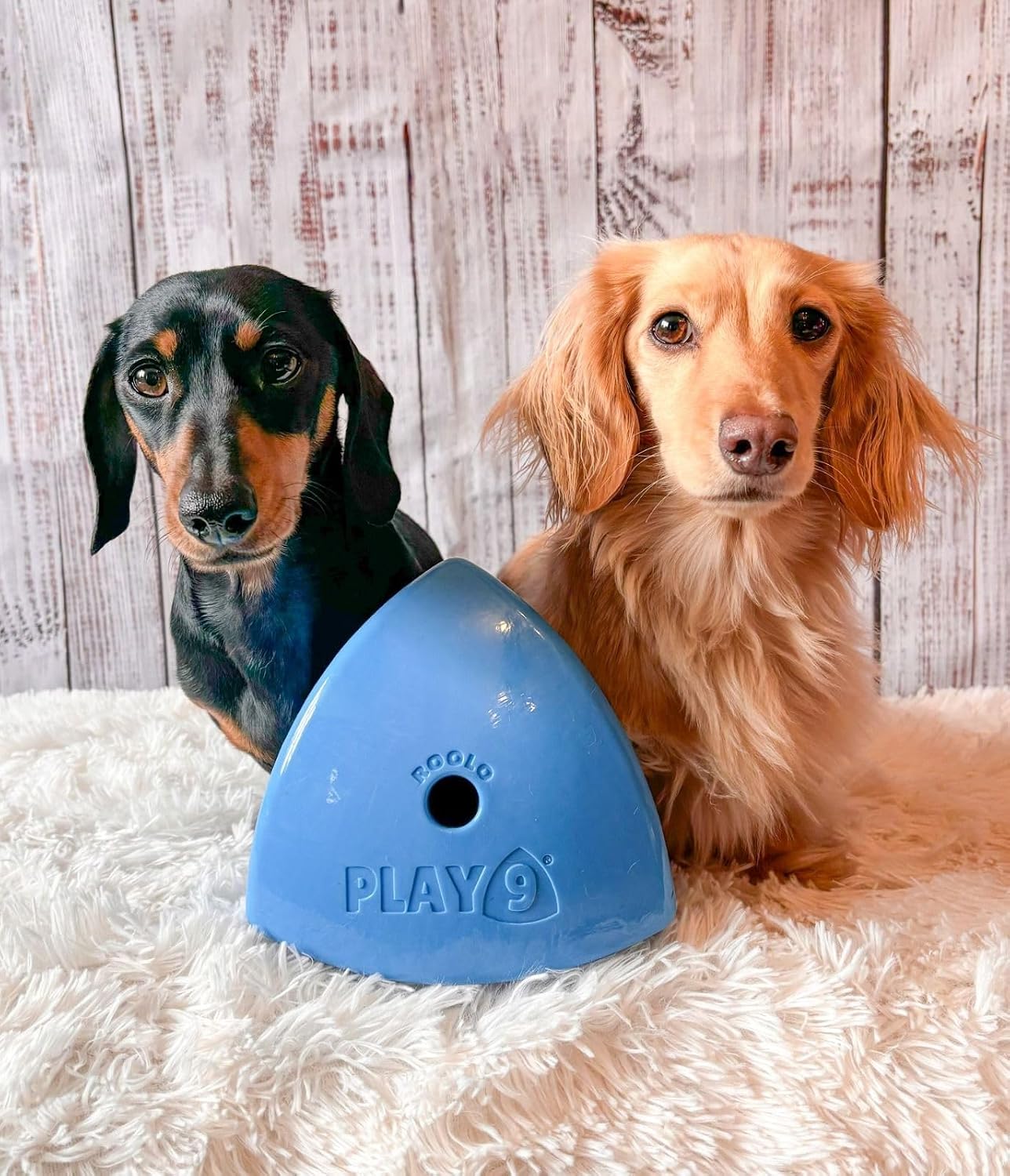 Detalle 2 de PLAY9 Roolo Dog Treat Dispenser Toy slow feeder for all sizes