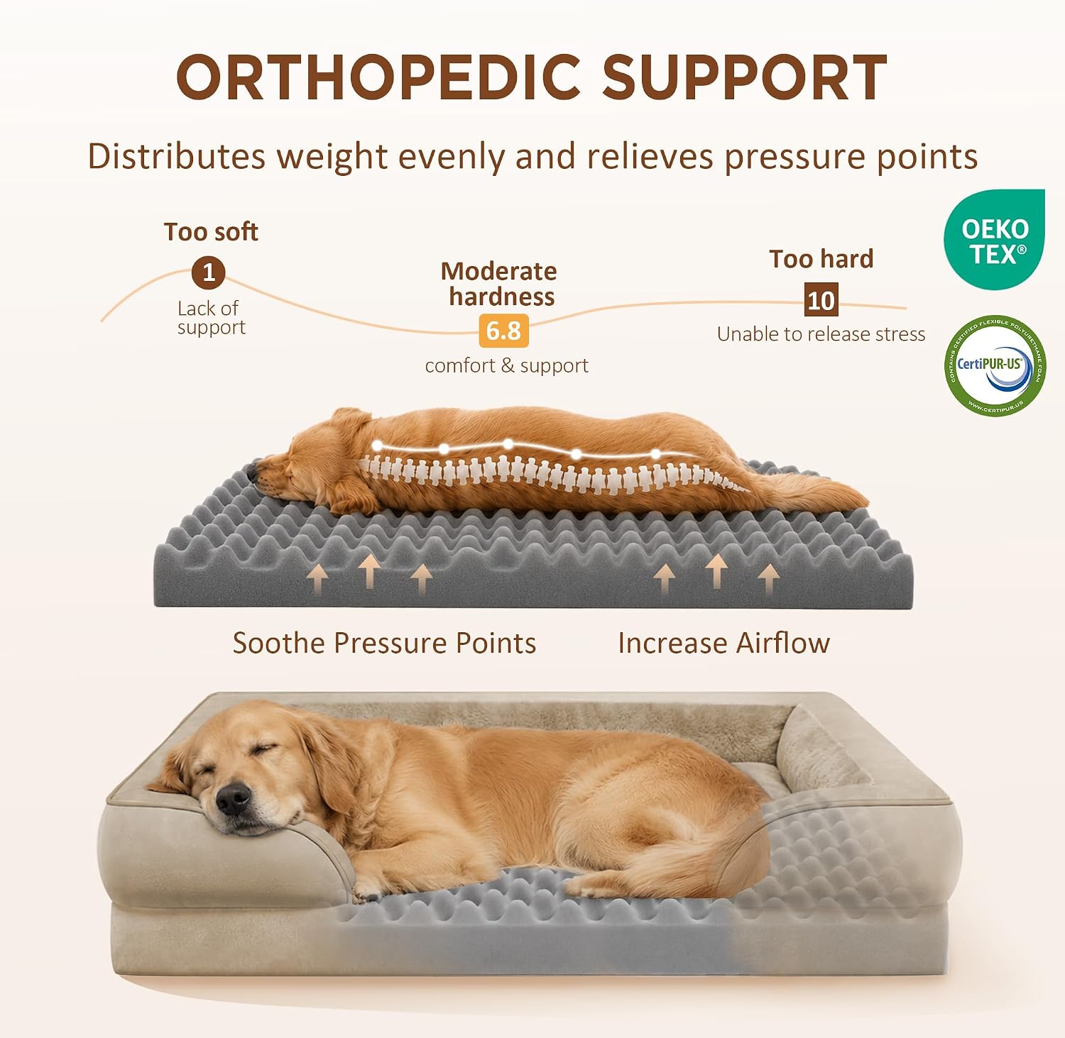 Detalle de Comfort Expression Orthopedic Dog Bed, 35 x 22 Inch