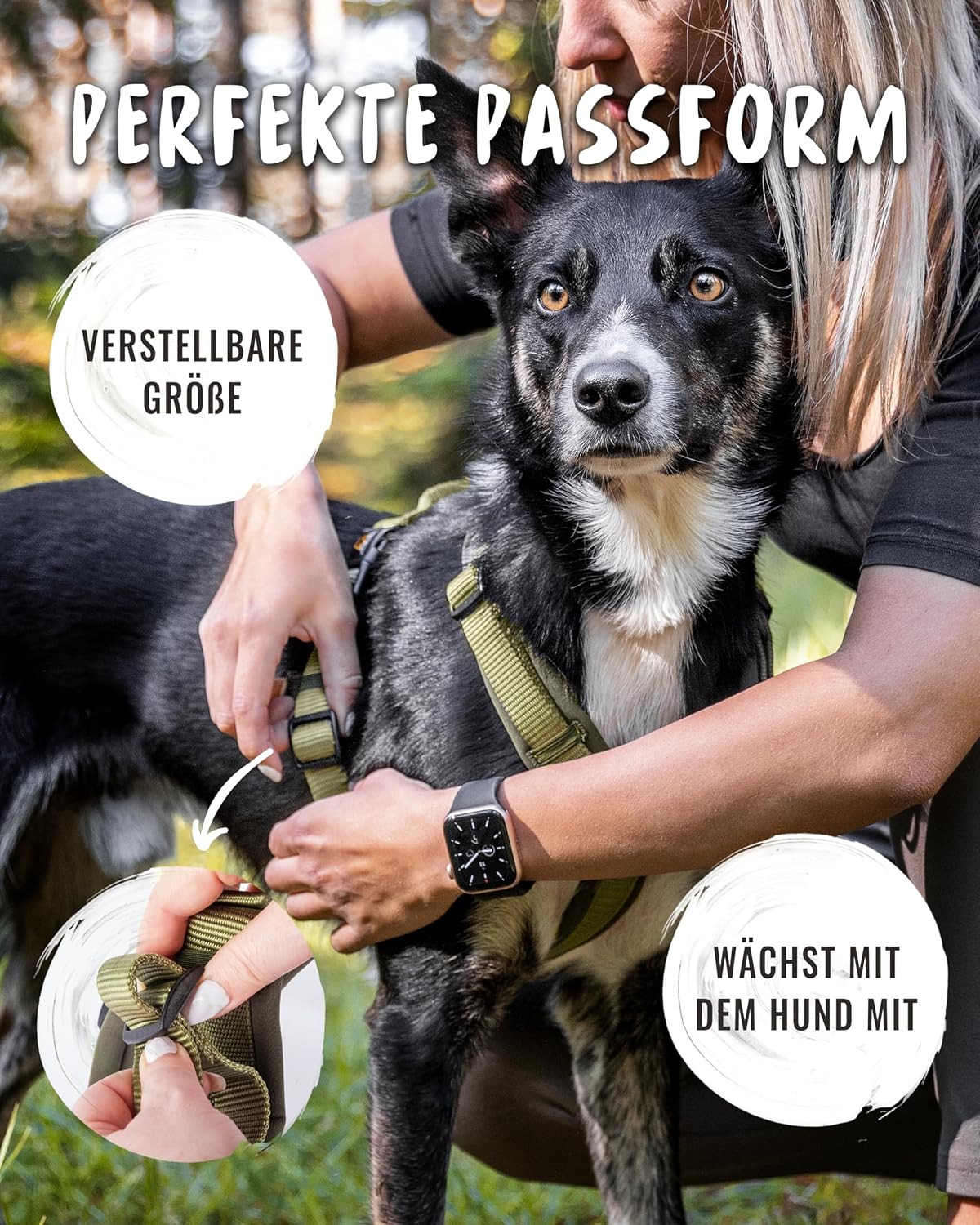 Detalle de Rudelkönig Bella Hundegeschirr đ