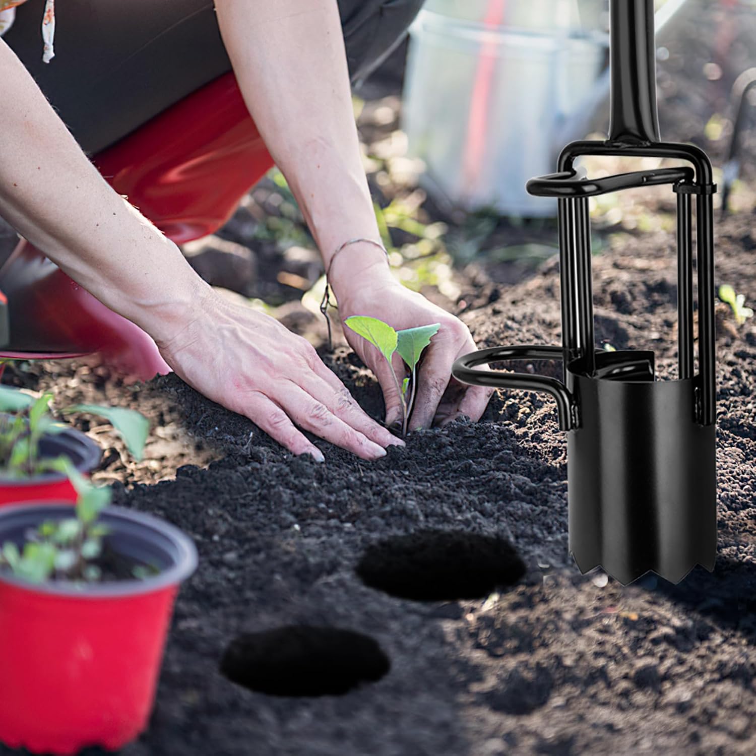 Thumbnail 2 de BARAYSTUS Bulb Planter Tool 5 in 1: una piantatrice da giardino a stelo lungo in acciaio al carbonio