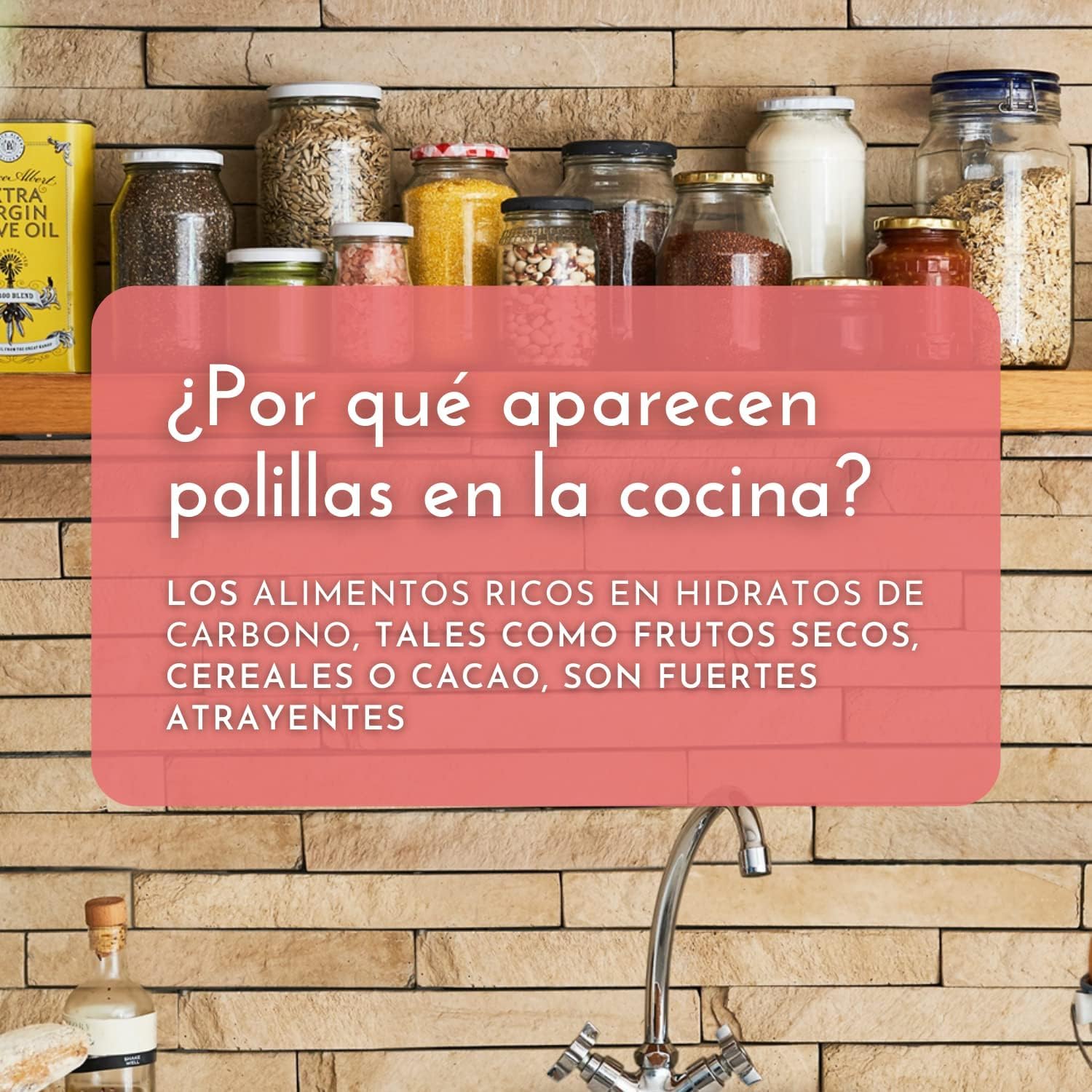 Thumbnail 4 de Orion 6 x Trampa Polilla Alimentos