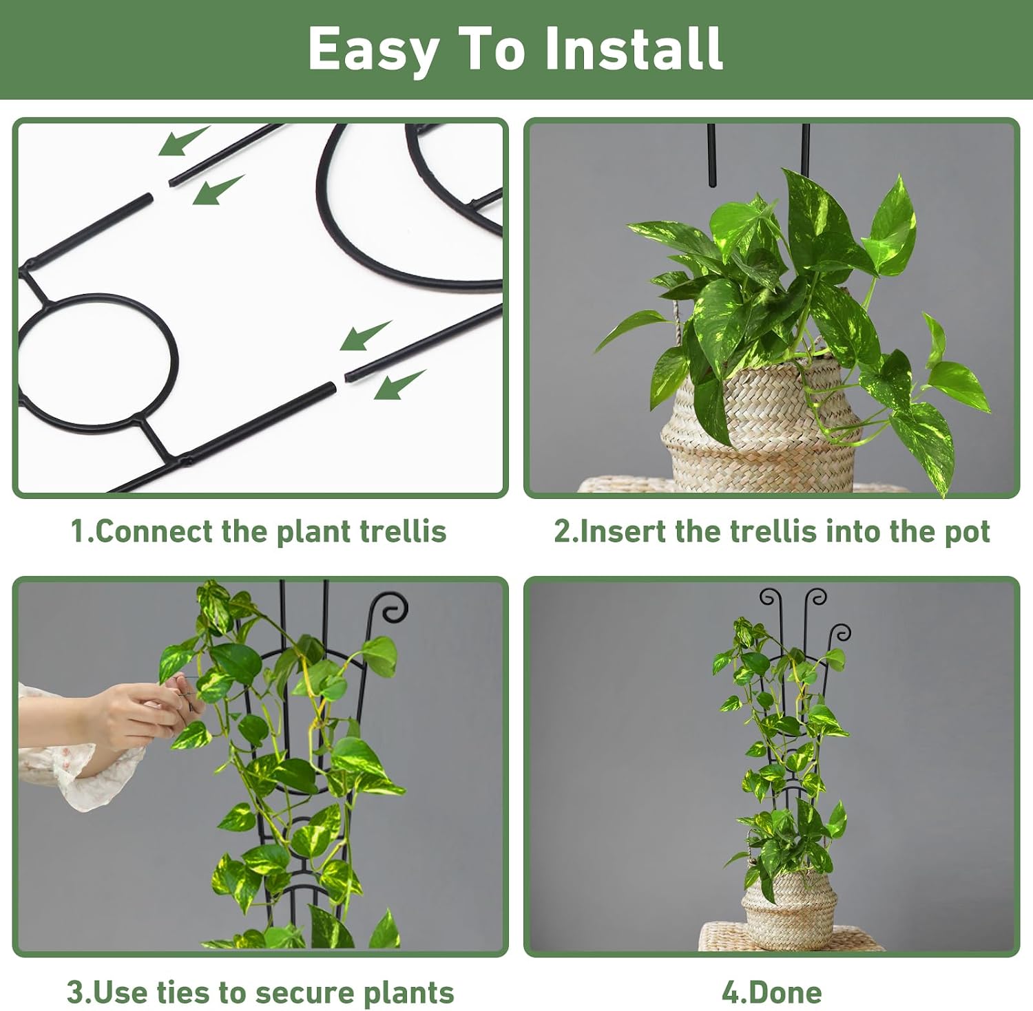 Detalle 2 de Xeeol TPJ0226012 Expandable Metal Plant Trellis, 32.6-Inch, 2-Pack