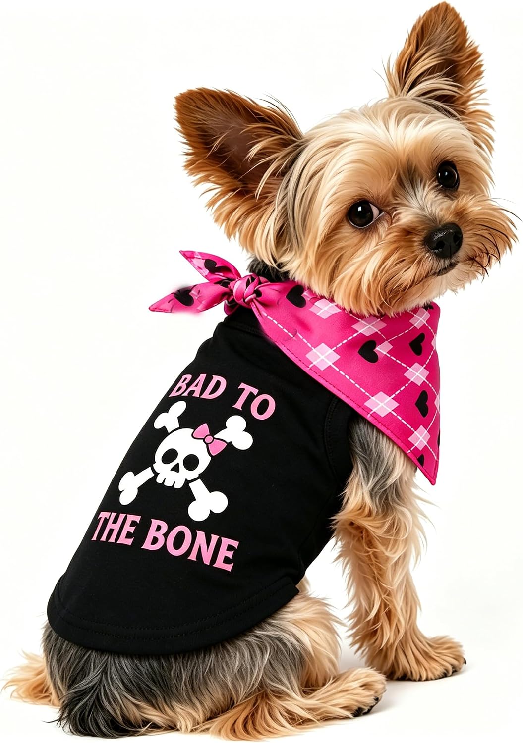 Detalle 2 de Dog Shirt and Bandana Set M