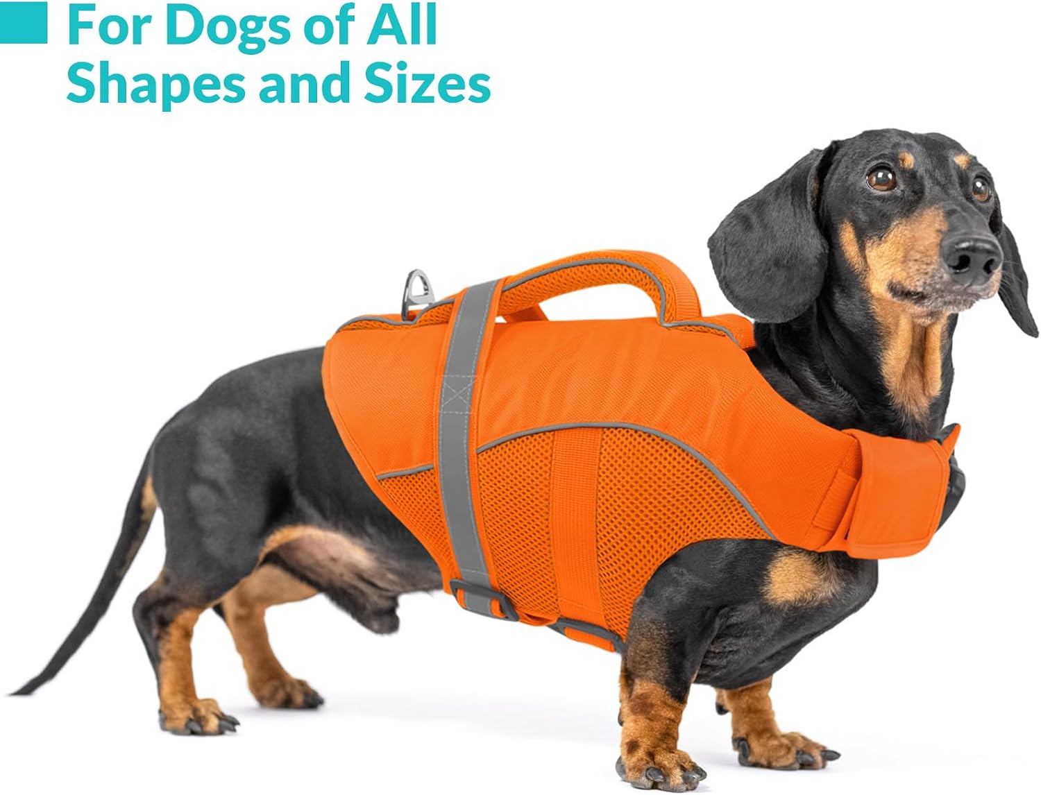 Detalle de Queenmore Giubbotto Salvagente Cane con Maniglia di Salvataggio – Taglie XS–2XL, Arancione, per Bassotto, Bulldog Francese, Staffordshire Terrier