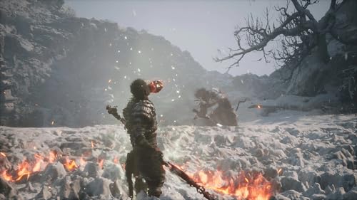 Thumbnail 6 de Black Myth: Wukong - PS5 (Edición física) de PM Studios