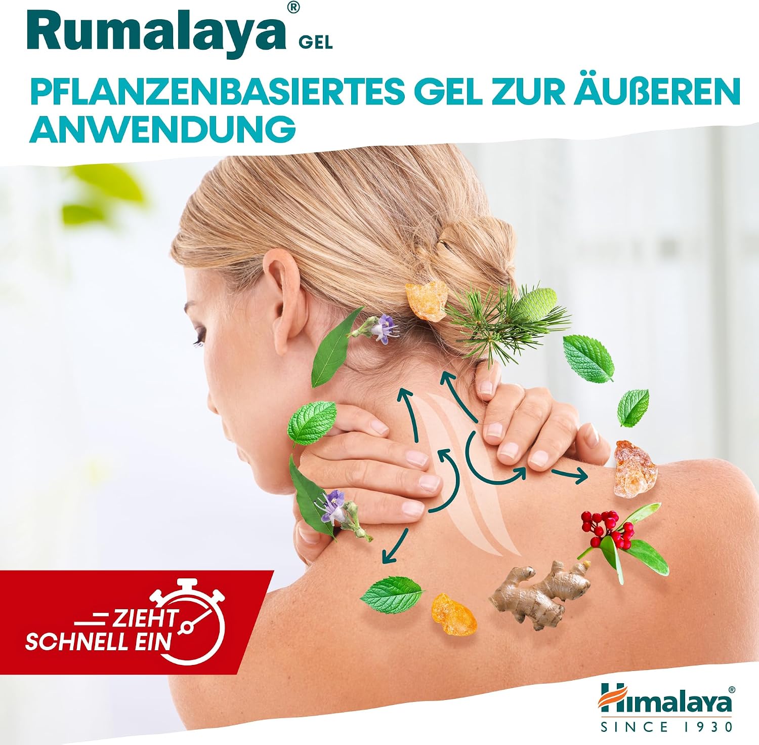 Thumbnail 4 de Himalaya Rumalaya Beruhigendes Gel – Schnell wirkendes Massagegel für Rücken, Nacken und Gelenke (50 g)