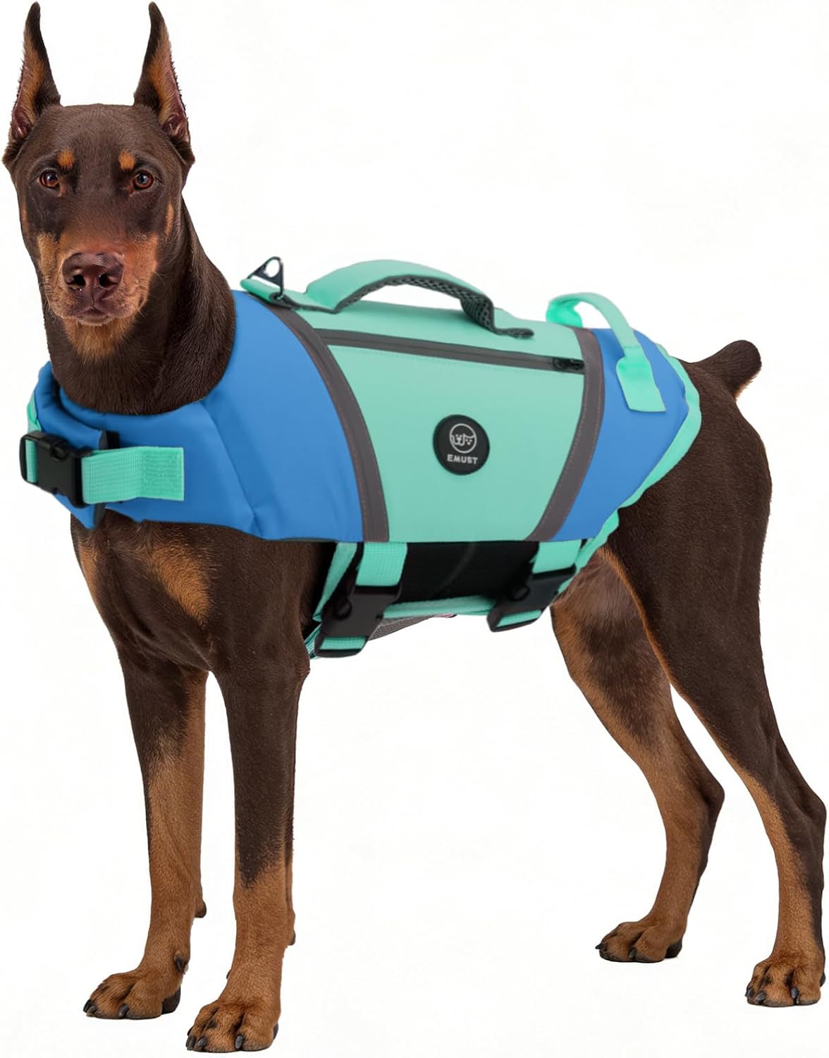 Detalle de EMUST Dog Life Vests: Lightweight Floating Vest with Pockets and Reflective Safety for Bulldogs, Dachshunds & More (Blue, XXL)