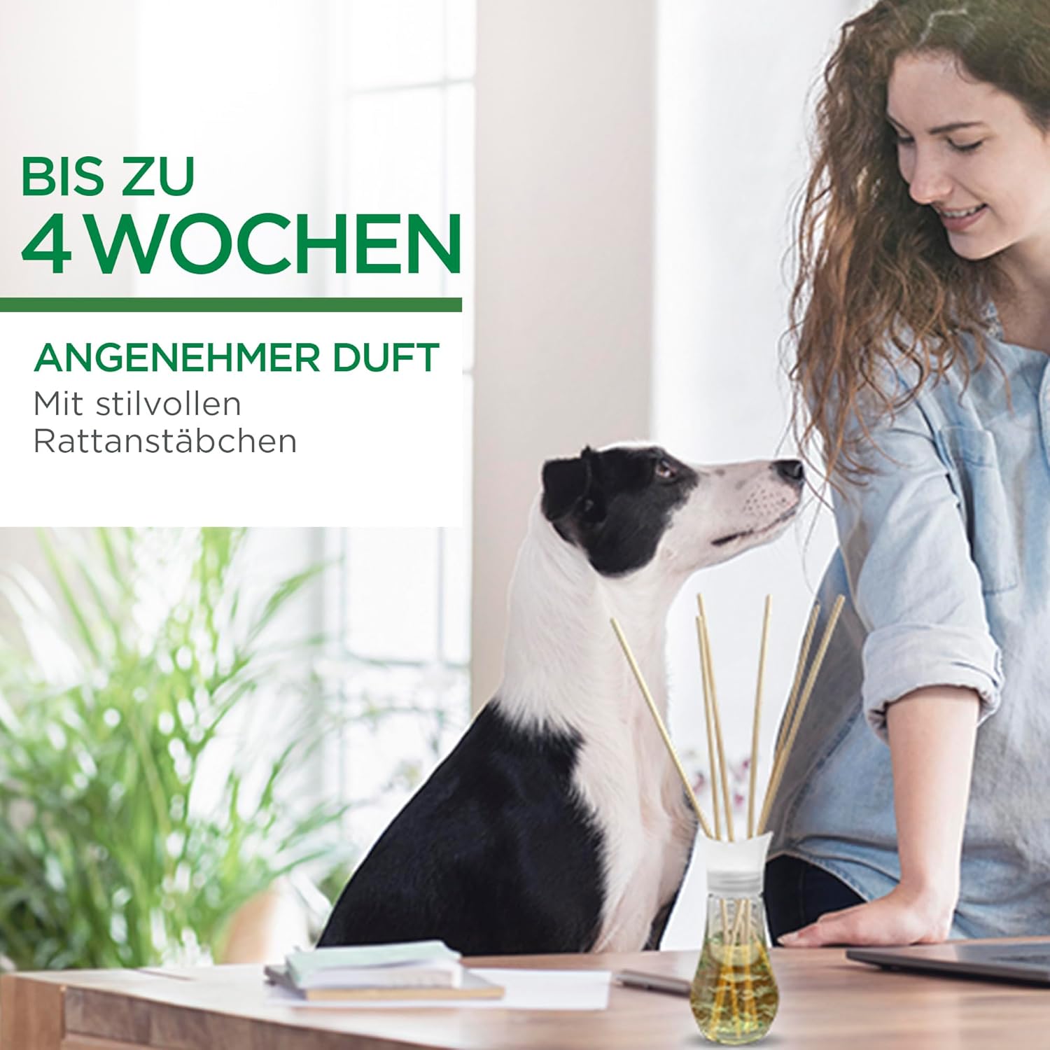 Detalle de Air Wick Duftstäbchen – Raumduft Sommervergnügen (1 x 30 ml) für die Wohnung