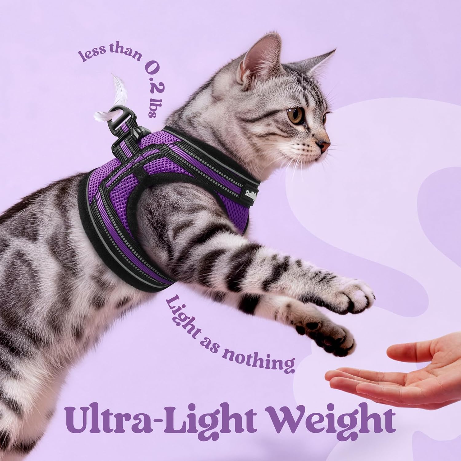 Thumbnail 5 de Rabbitgoo Cat Harness and Leash Set (Escape Proof) – Adjustable Soft Vest, Reflective Strip, Purple, Size S