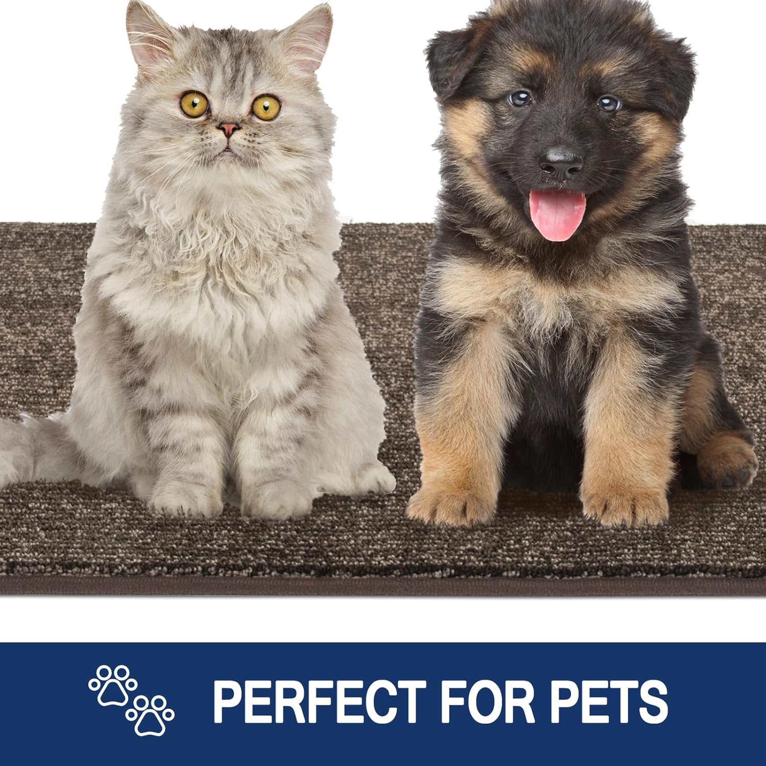 Thumbnail 4 de FCSDETAIL Dirt Trapper indoor door mat 120 x 180 cm (machine washable) for hallways and pet areas