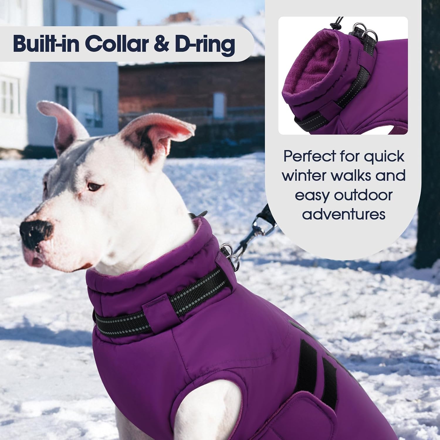 Detalle de IECOii Waterproof Dog Coat, L