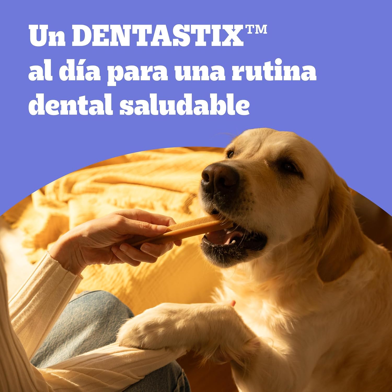 Thumbnail 2 de Pedigree Dentastix Snacks Dentales para Perros Medianos 🦴