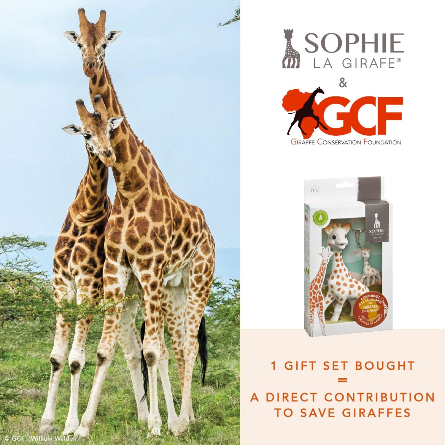 Thumbnail 1 de Sophie la girafe x GCF Paquete de juguete