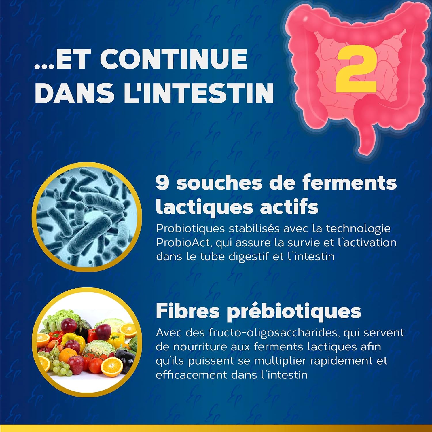 Detalle 2 de Maxi Enzymes + Probiotiques 40 gélules