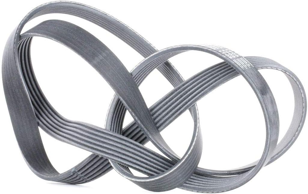 Detalle de Continental Contitech 6PK1705 – Courroie trapézoïdale à nervures (6 stries), longueur 1705 mm