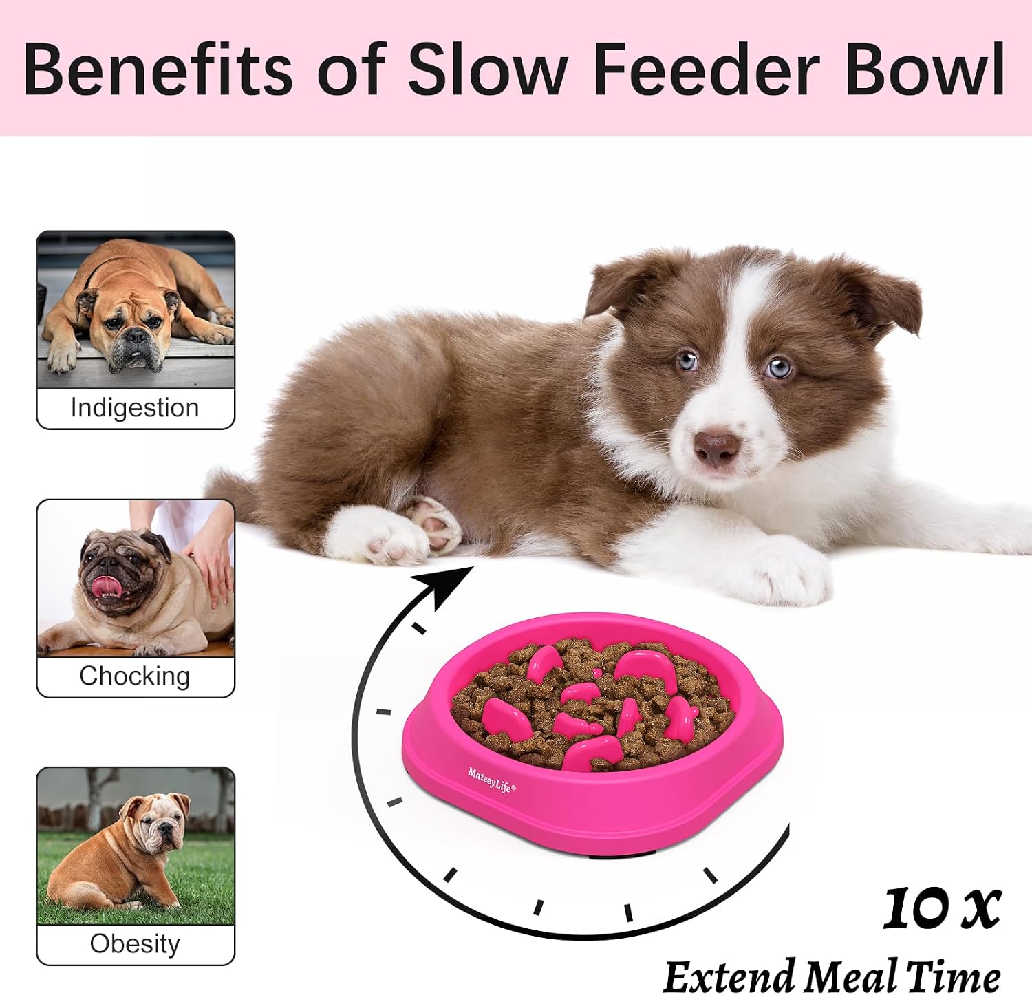 Detalle de Mateeylife Hundenapf – Anti-Schlingen Slow-Feeder für Kleine Hunde und Katzen, Rosenrosa