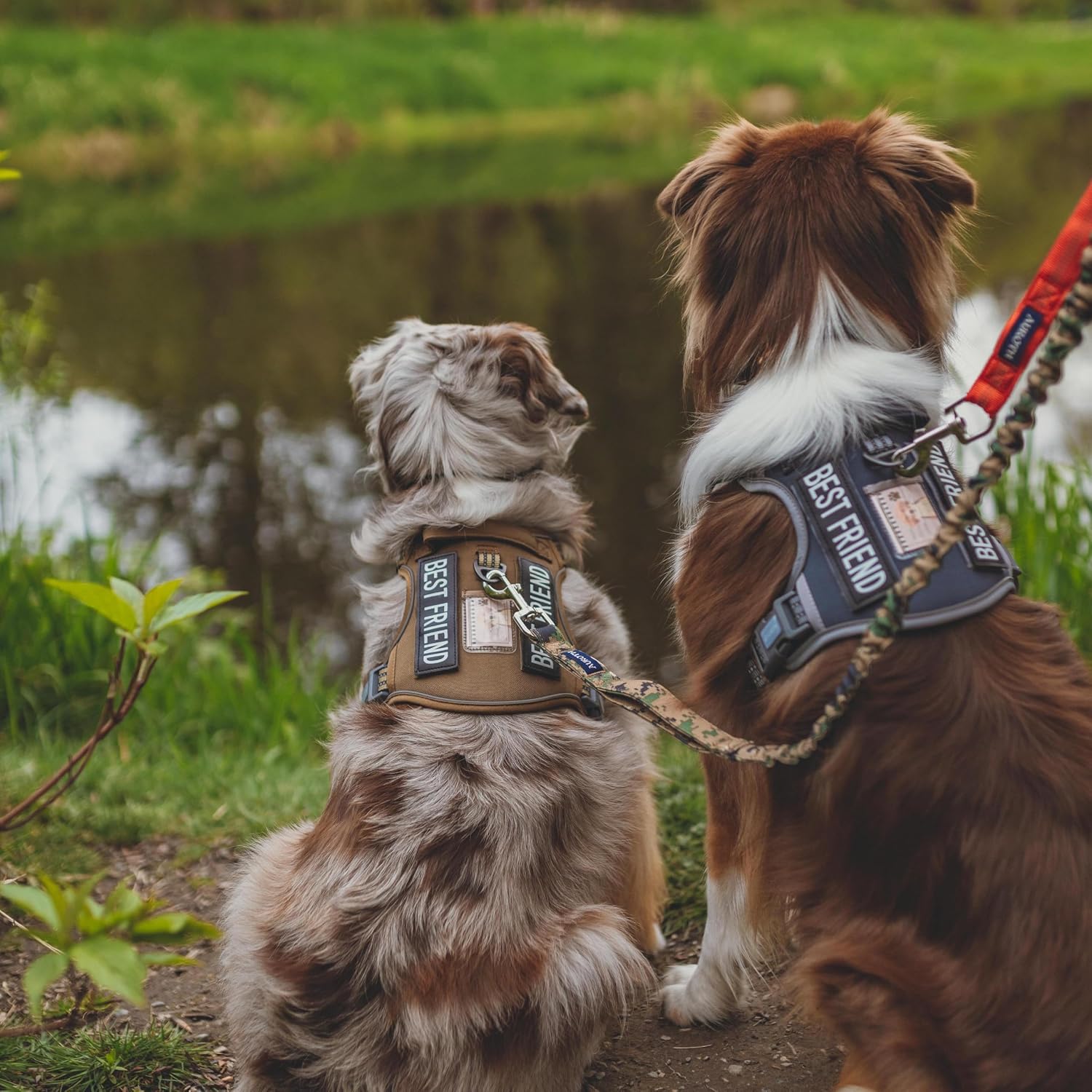 Thumbnail 6 de AUROTH Dog Harness, Small