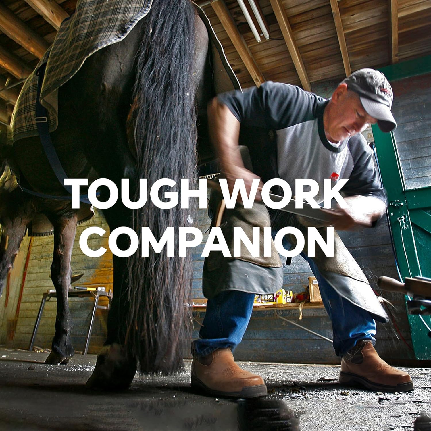 Thumbnail 1 de ANGRYRAM Work-Man Pro Series Steel Toe Boots
