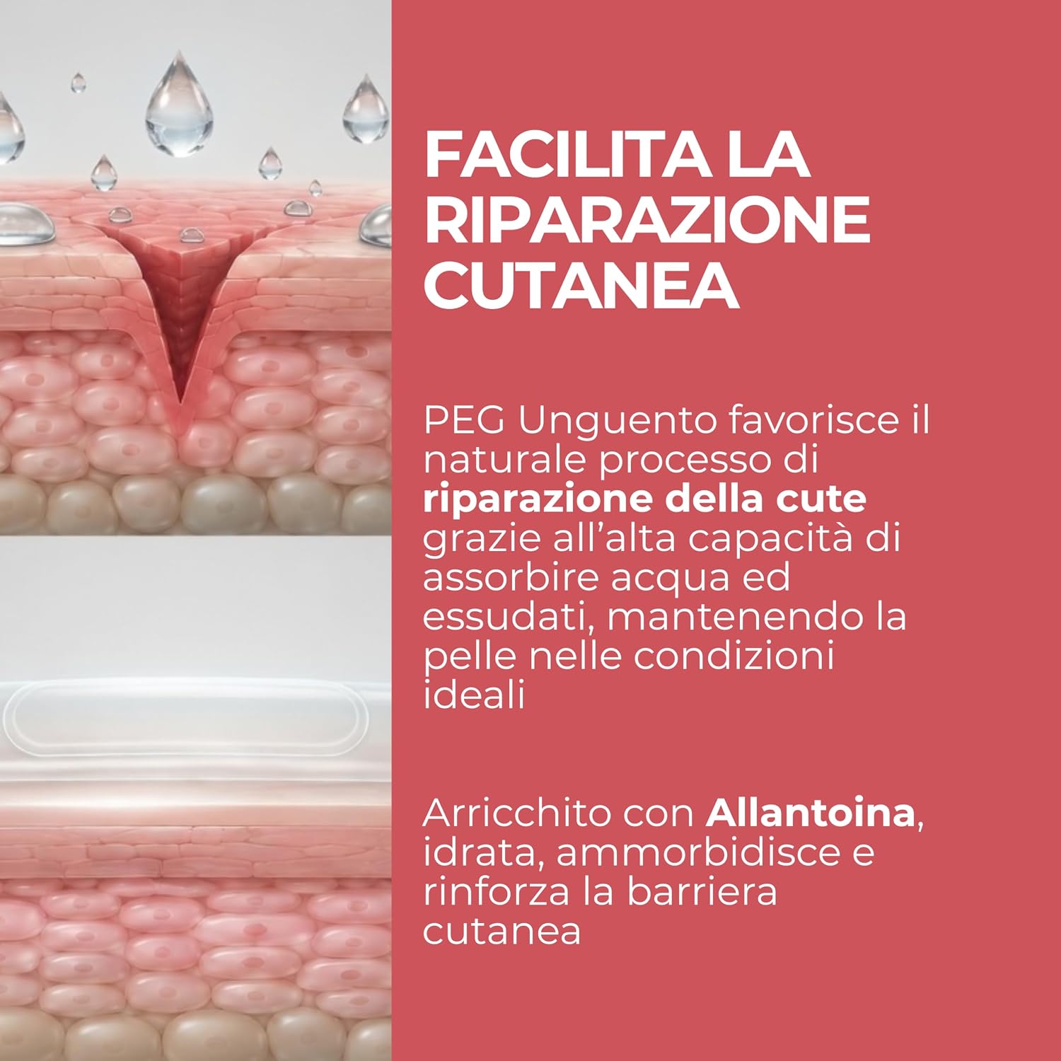 Detalle de MOST - PEG Unguento Viso e Corpo per Bambini e Adulti, Lenitivo e Protettivo (100 ml)